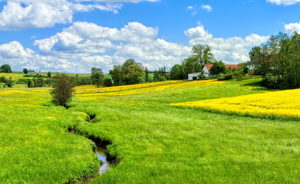 3 Gründe gegen die Landarztquote – Chancen und Risiken im Überblick