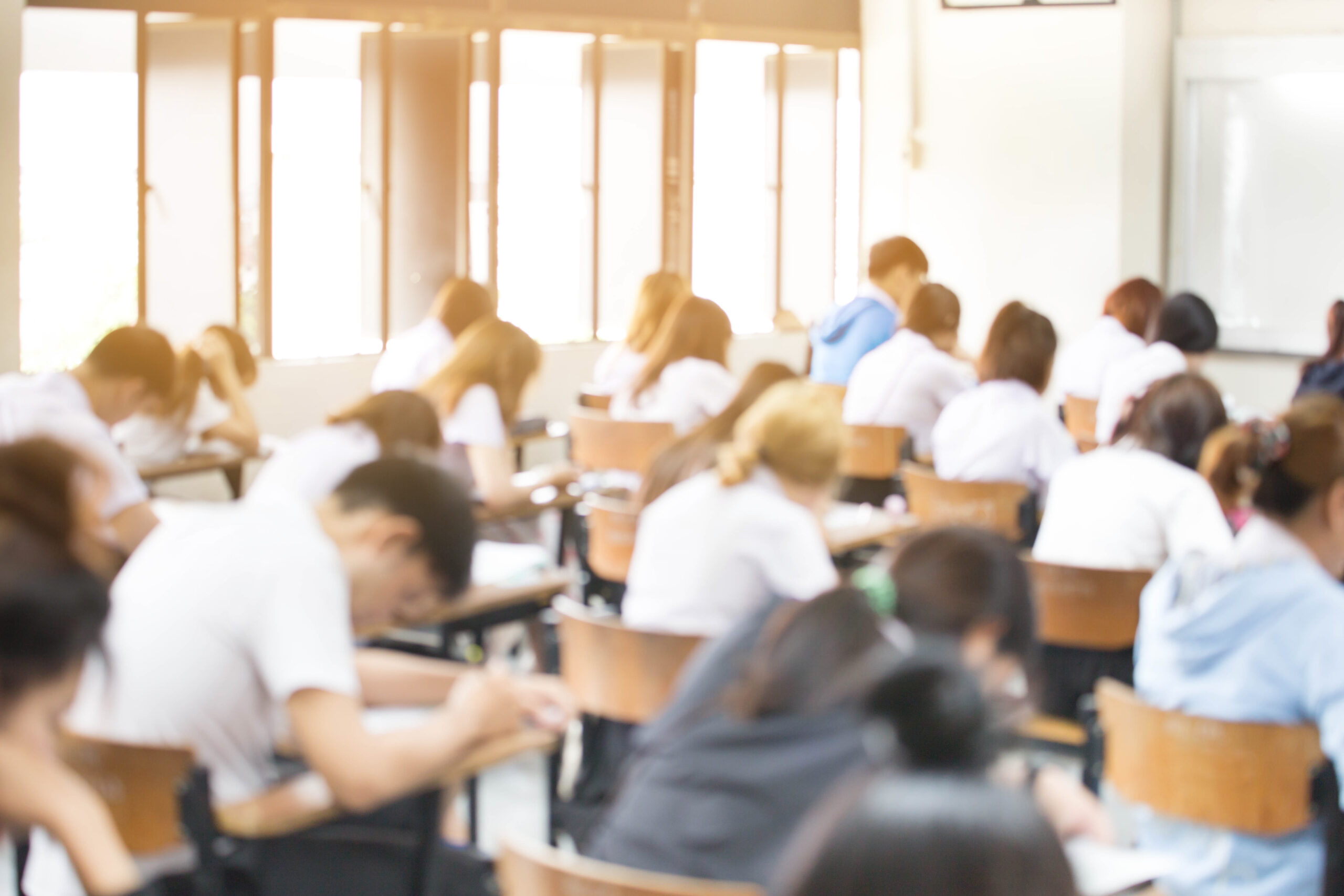 Alles, was du rund um den TMS wissen musst! 