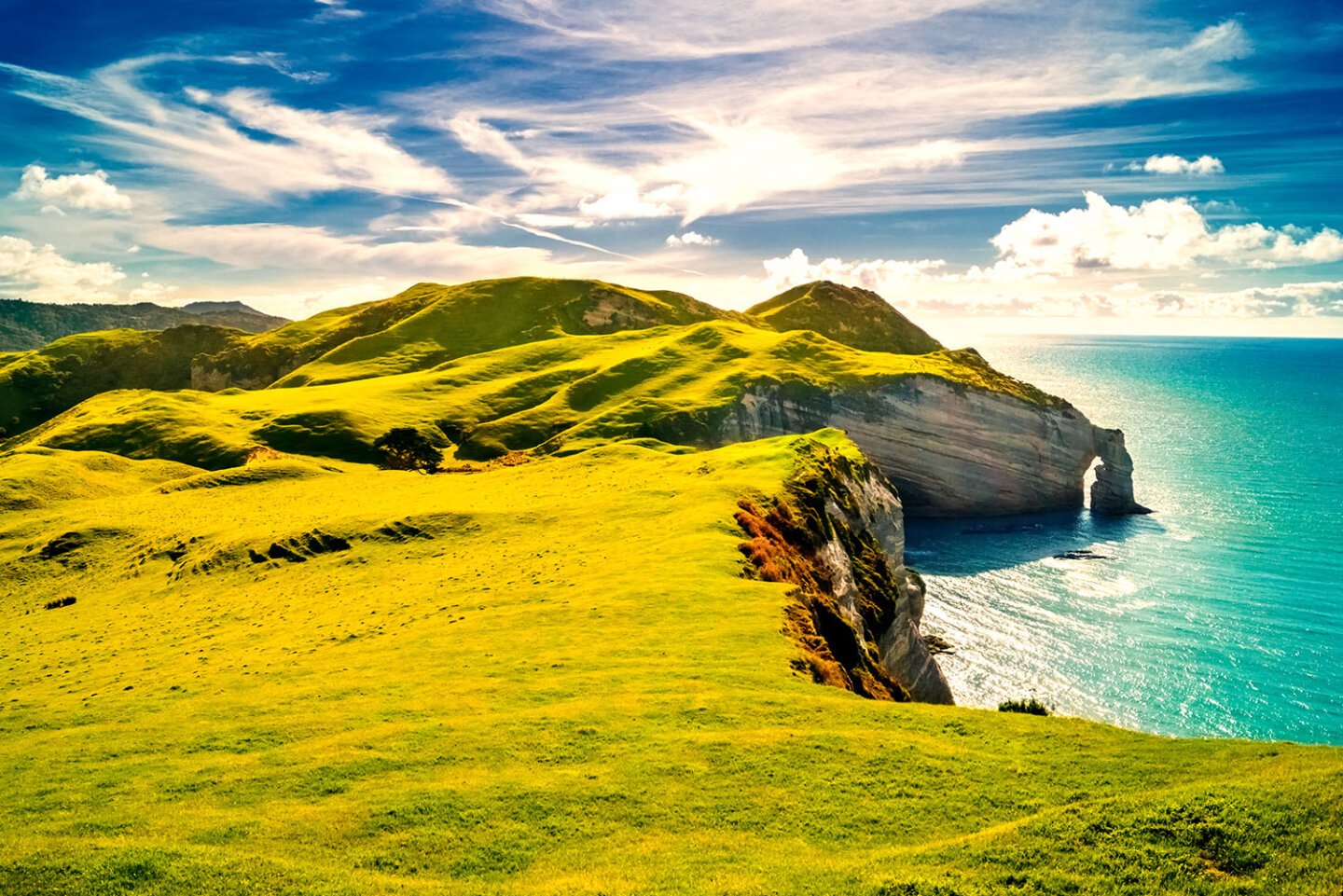 Medizinstudium in Irland